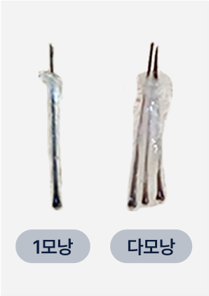 저밀도