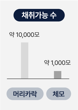 소량 채취