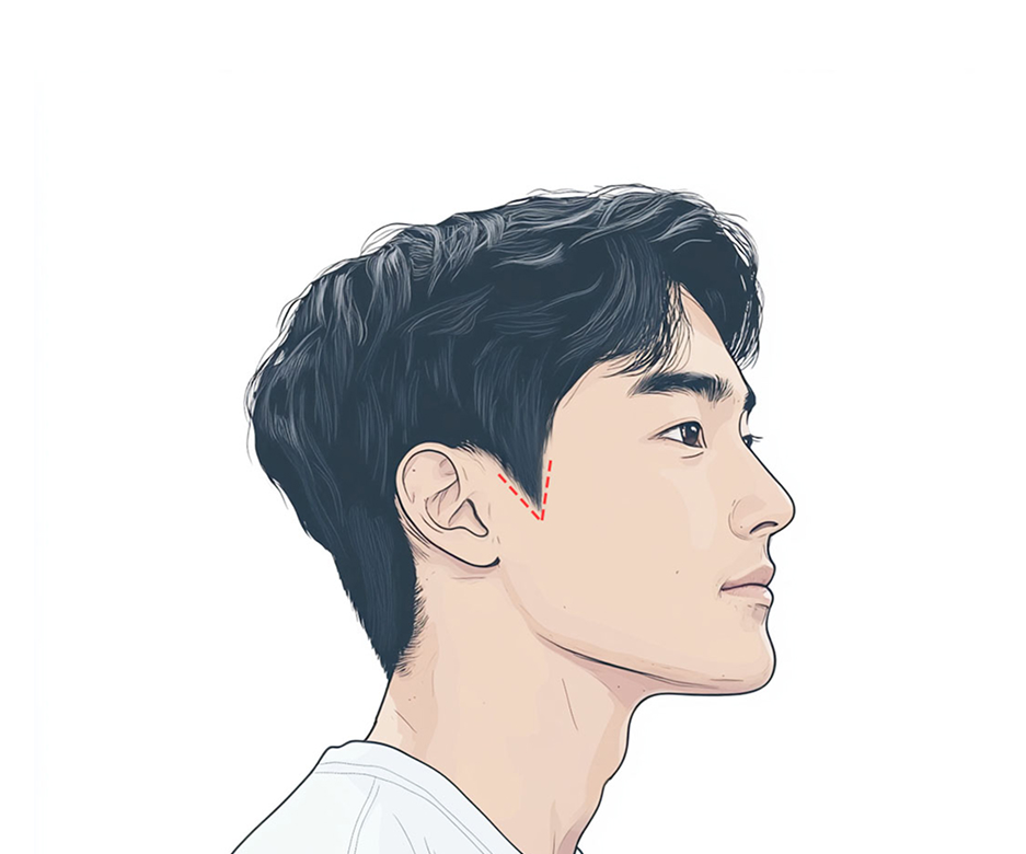 V Type Sideburns