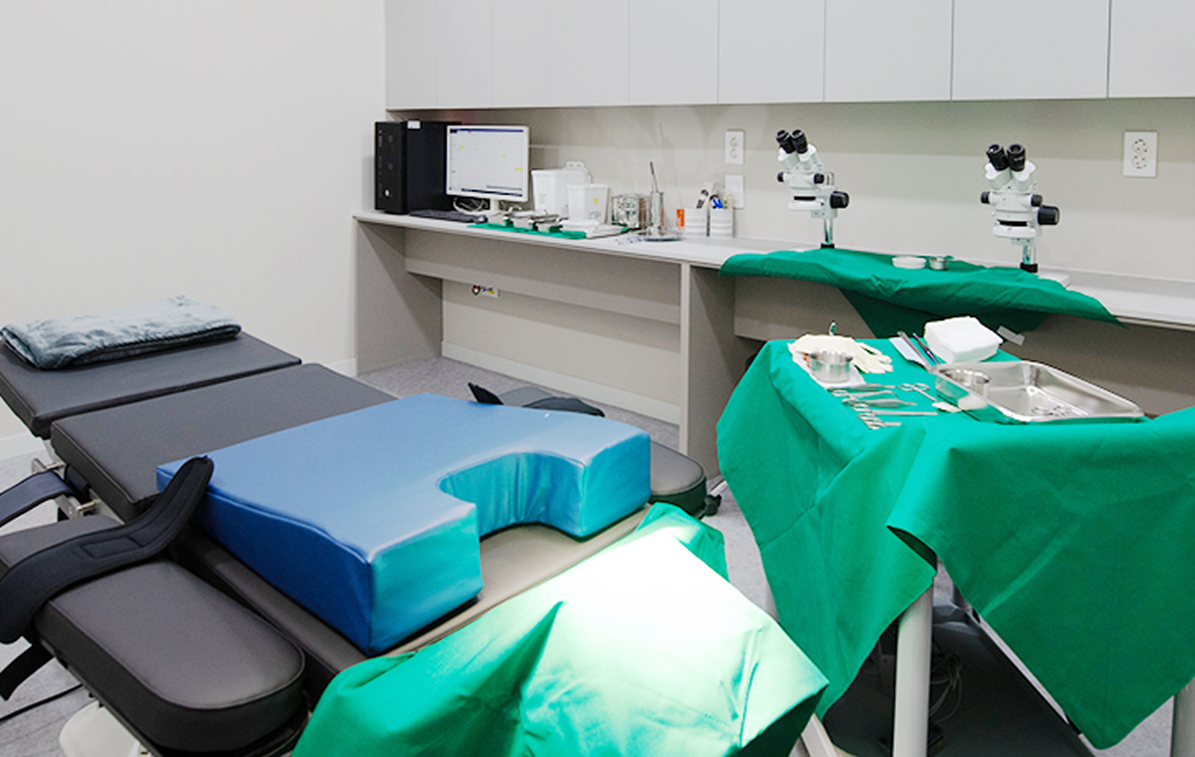 Hair Transplant Procedure Process