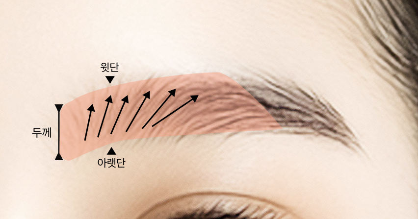 아래에서 위로 자라는 부위