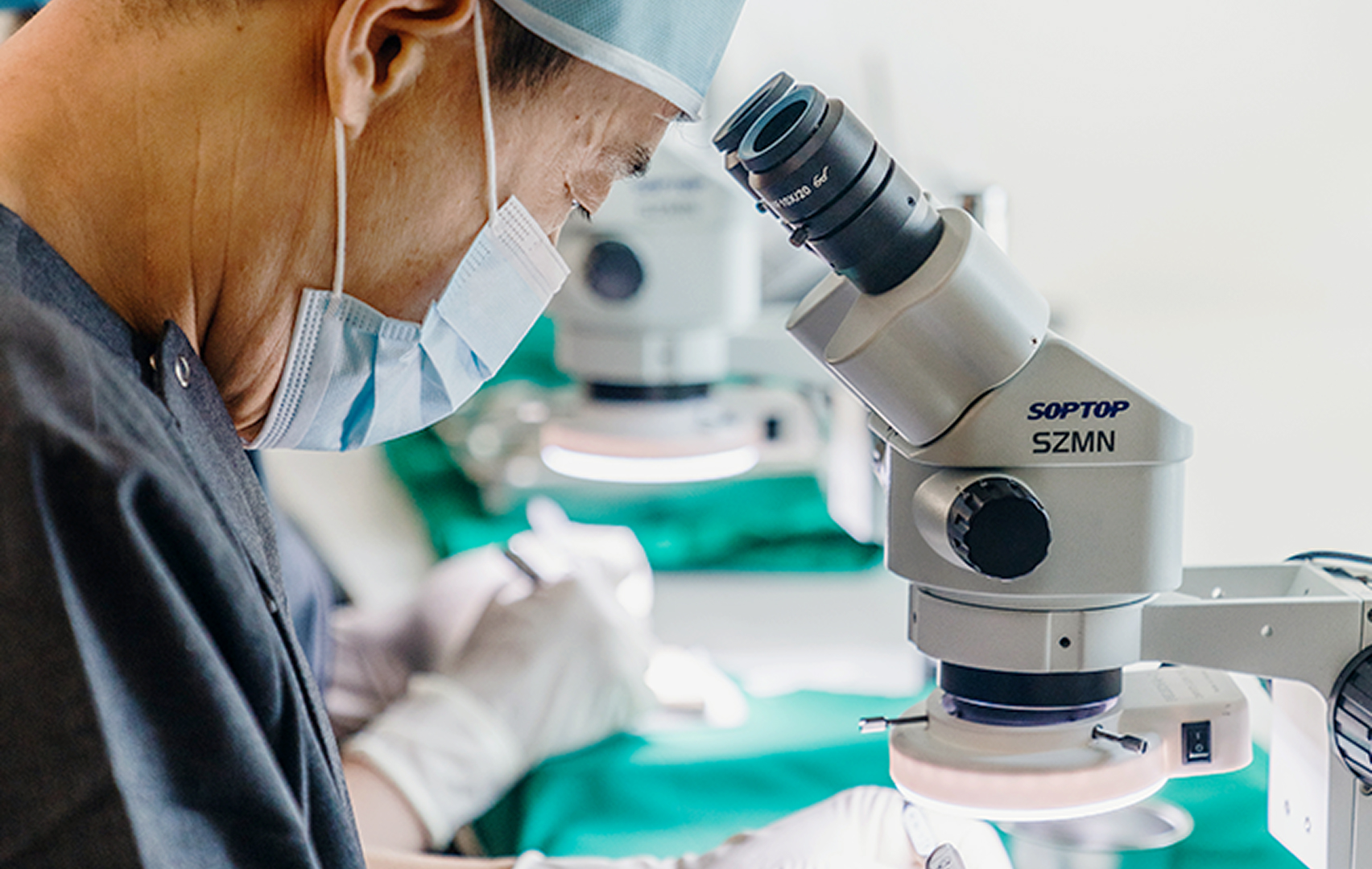 모발이식의 진행과정